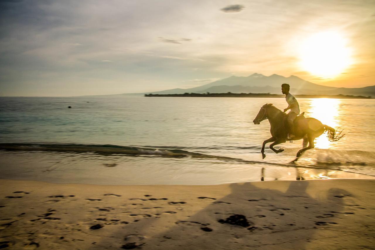Villa Pulau Cinta Boutique Suites Ilhas Gili Exterior foto